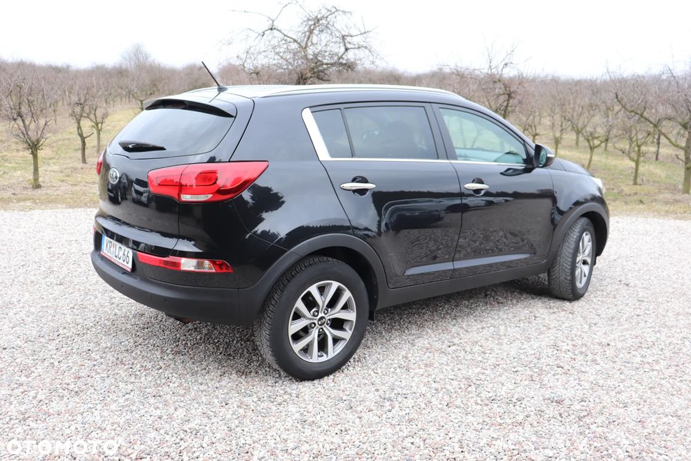 Kia Sportage 1.6 GDI Business Line L 2WD - 16