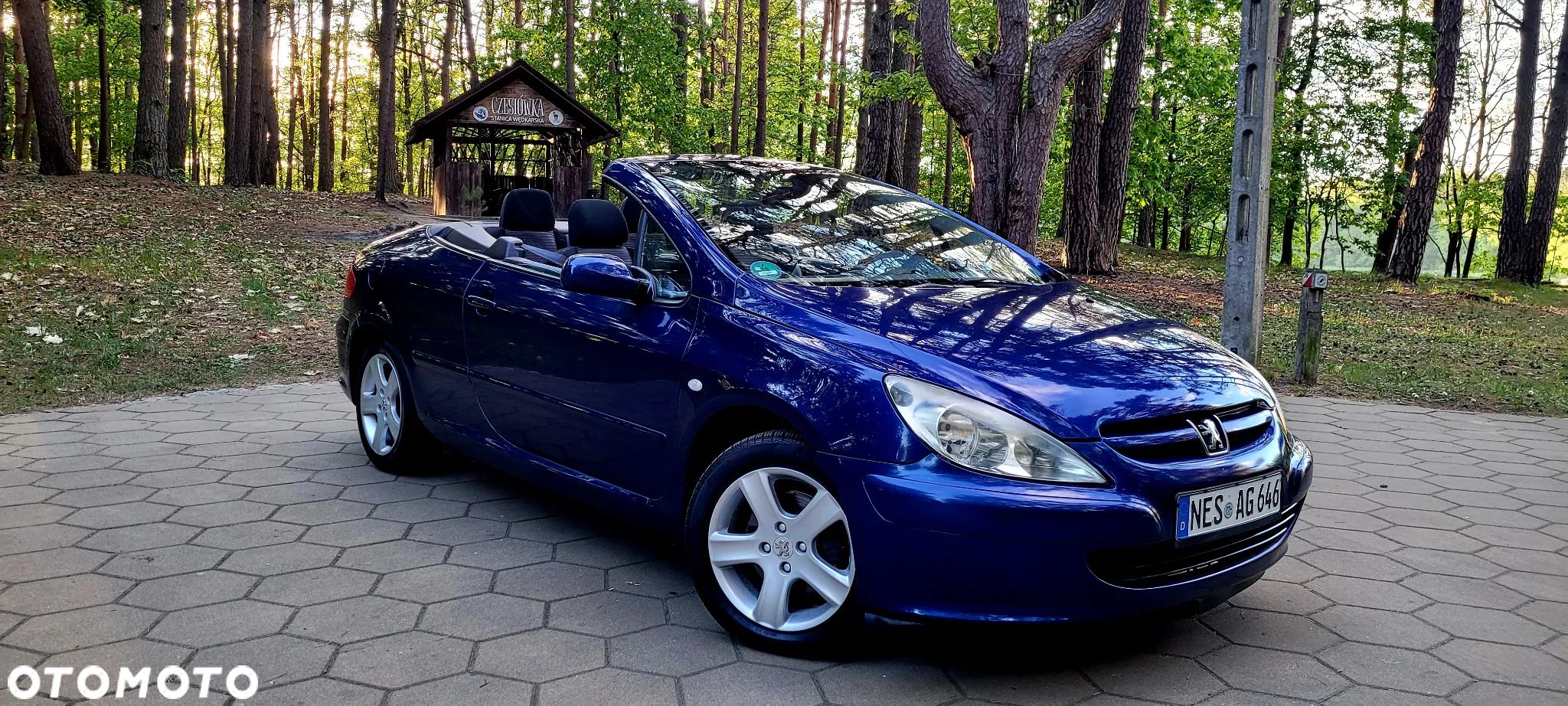Peugeot 307 135 Sportline - 1