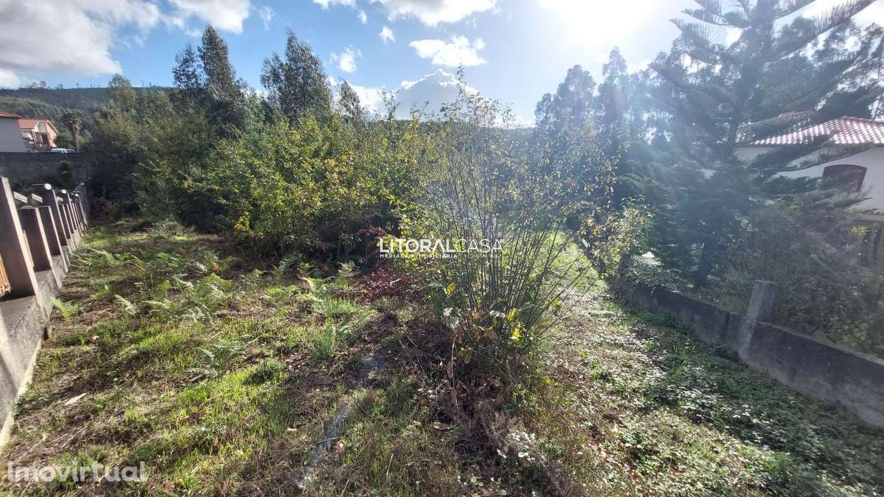 Terreno | Carrazedo do Vouga - Grande imagem: 4/8
