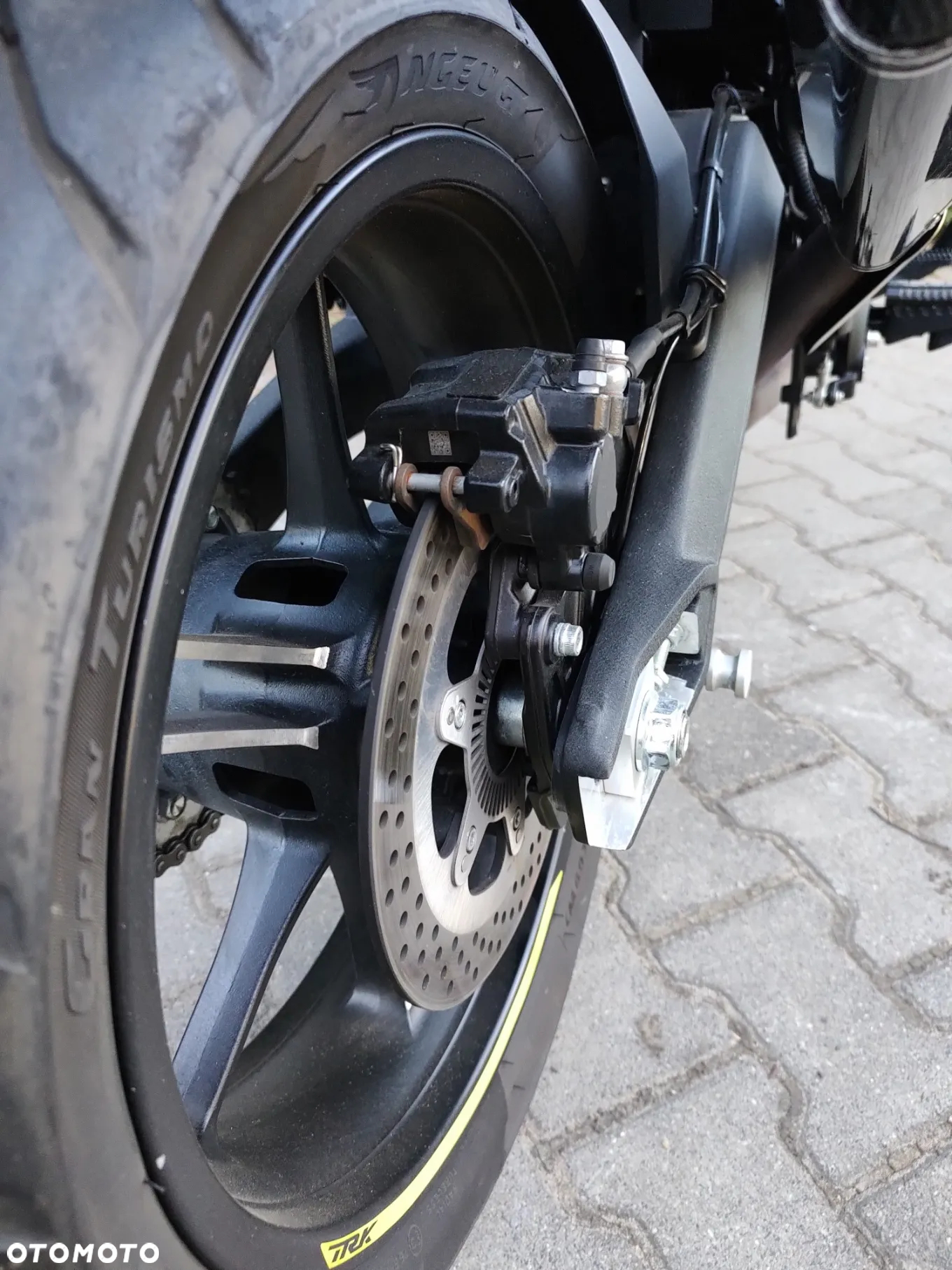 Benelli TRK 702 - 13