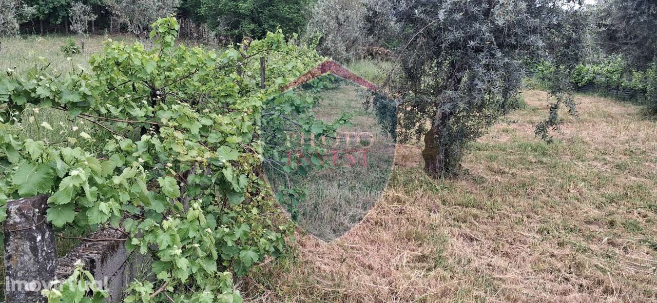 Terreno Para Construção  Venda em Santos Evos,Viseu - Grande imagem: 4/7
