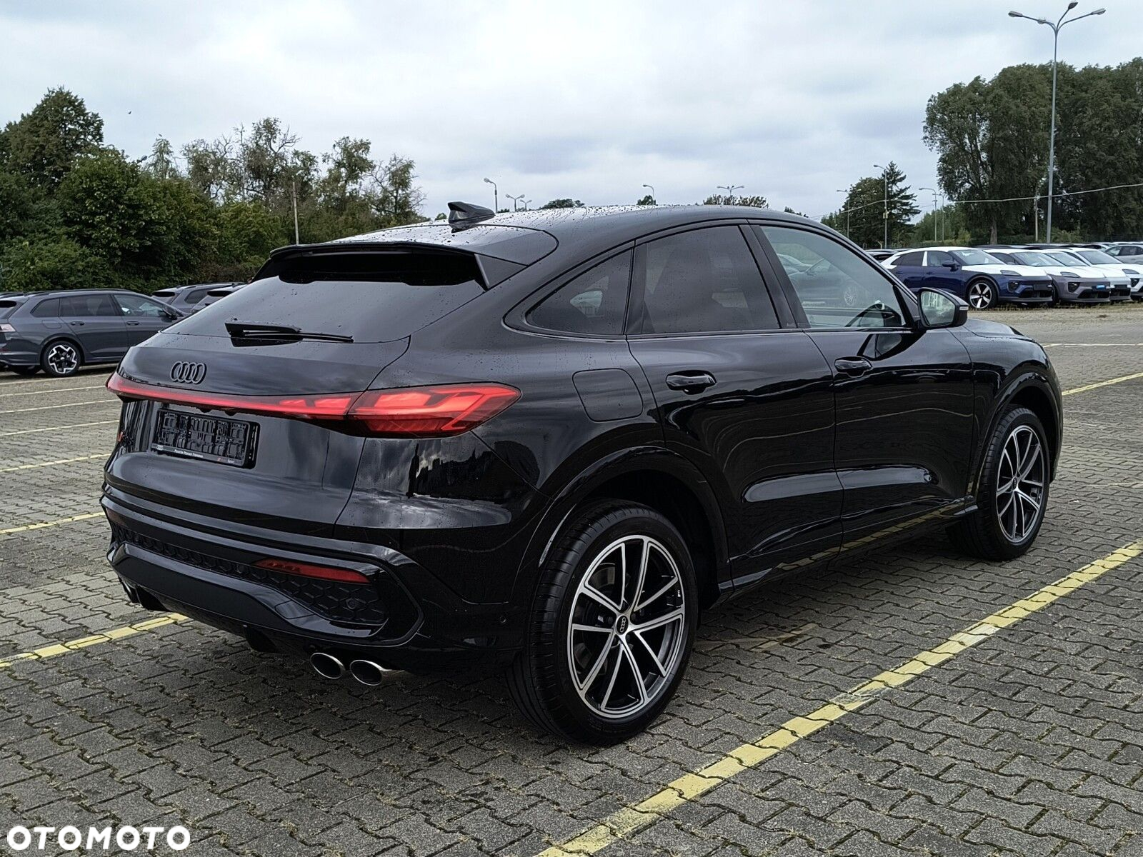 Audi SQ5 - 9