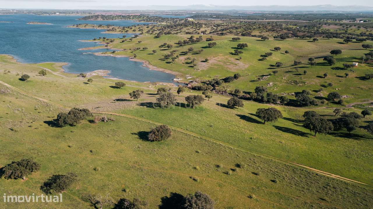 Herdade dos Castelhanos -  190 Hectares, Moura, Alentejo - Grande imagem: 2/9