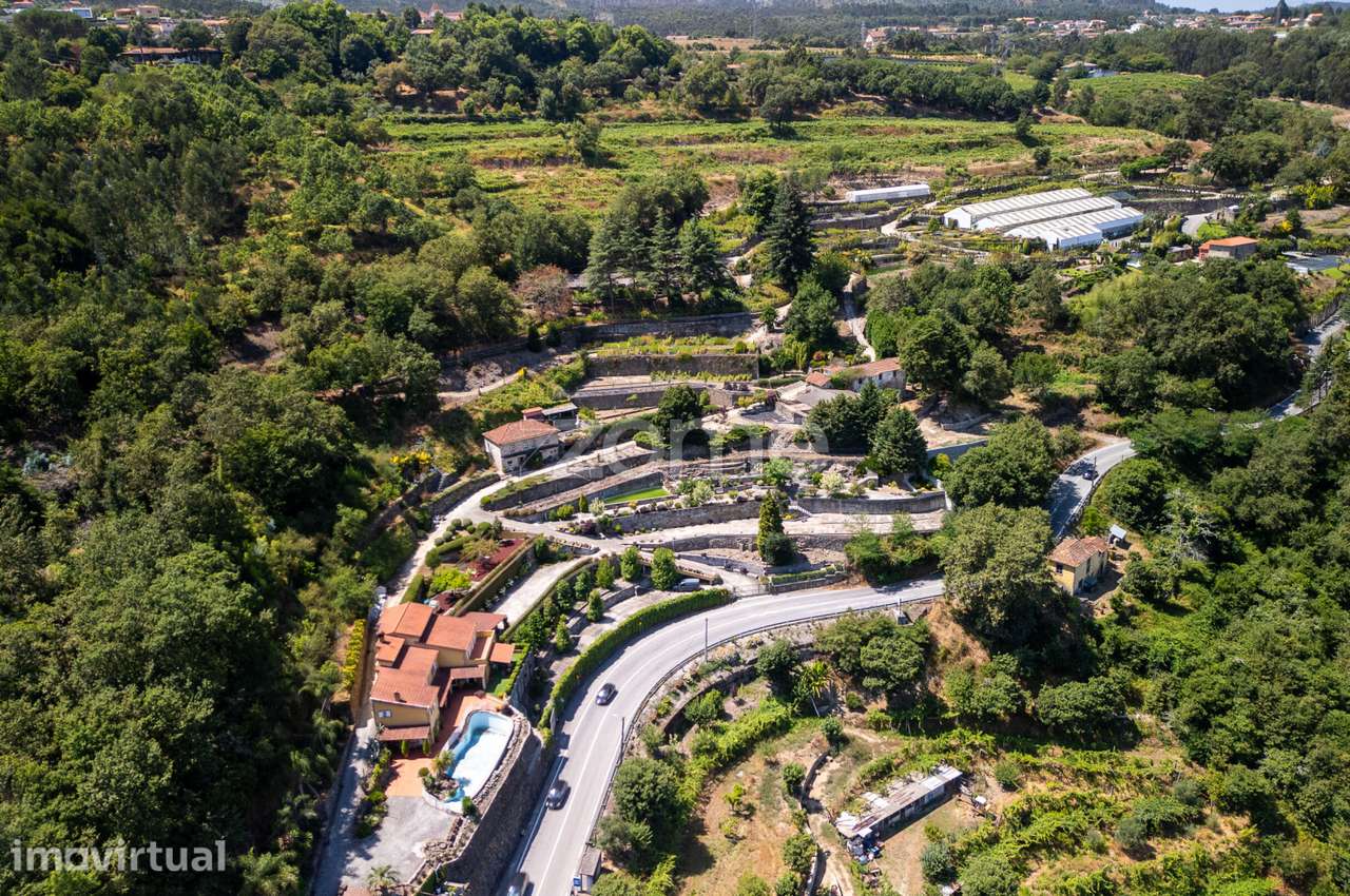 Quinta em Eja, Penafiel, com vistas sobre o Douro - Grande imagem: 5/29