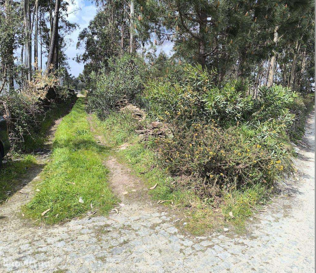 Terreno rústico com 1.750 m², situado em Fão, Esposende - Grande imagem: 2/7