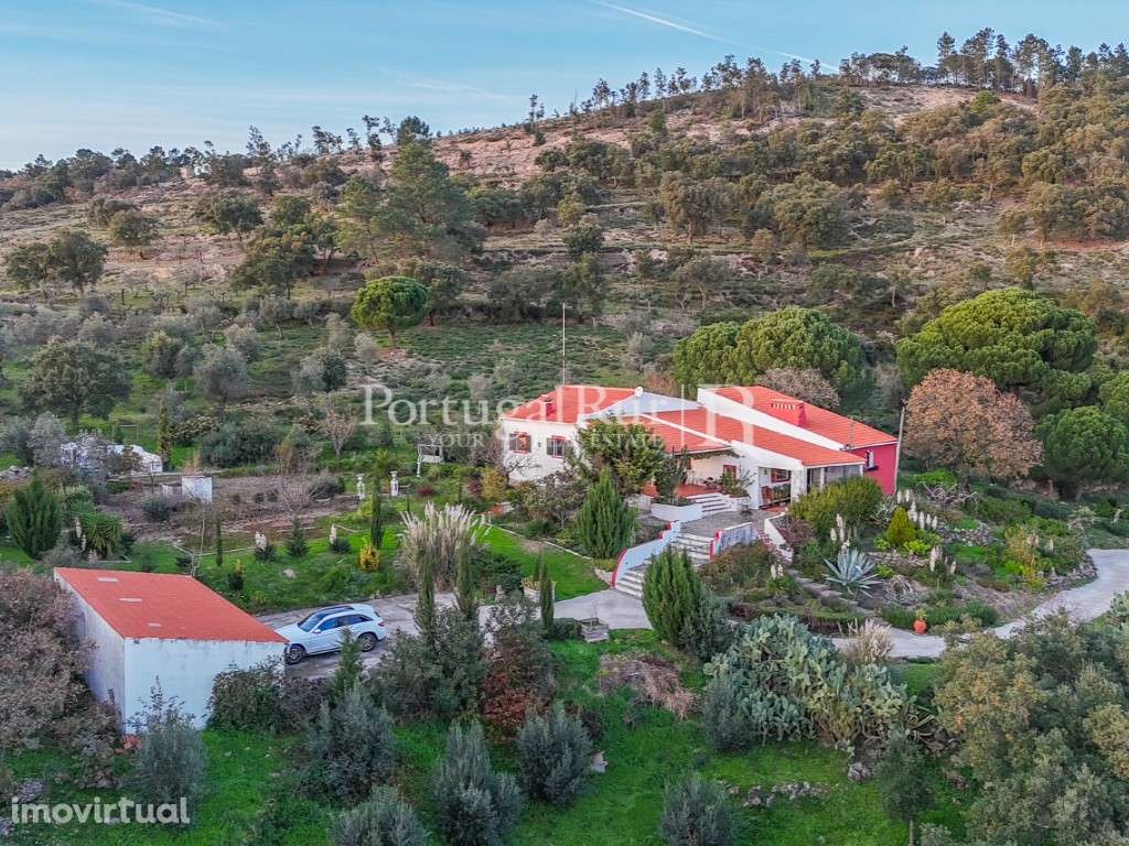 Quinta com Moradia T4 em Portalegre - Grande imagem: 3/34