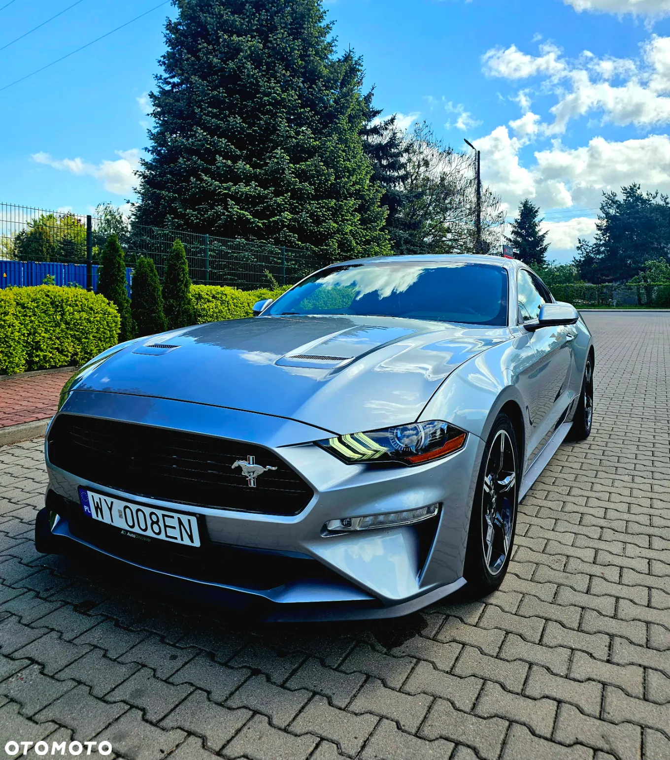 Ford Mustang 5.0 V8 GT - 3