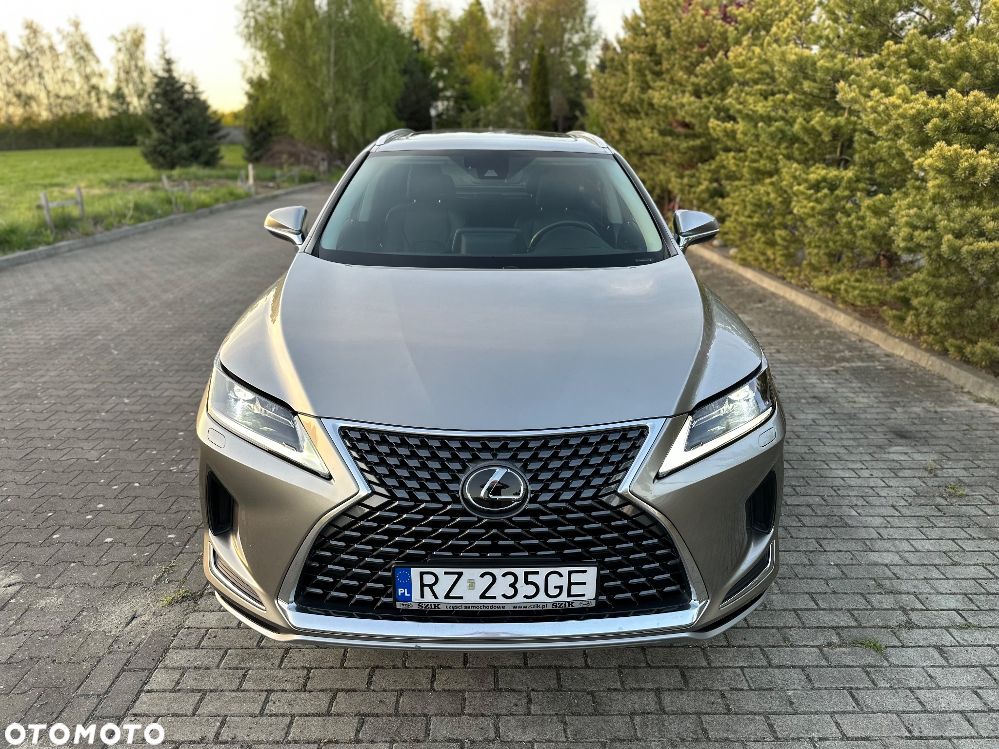Lexus RX - 8