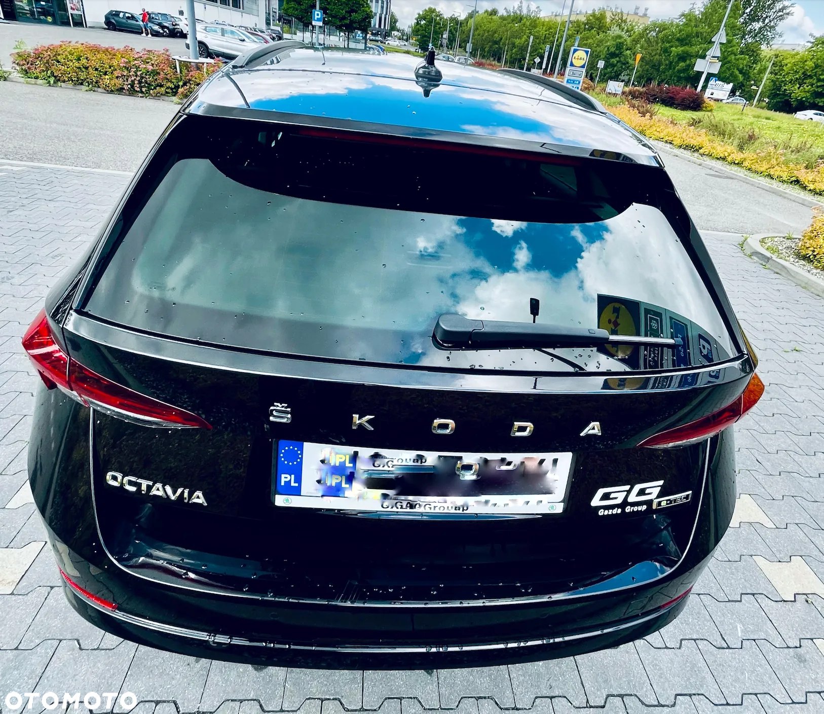 Skoda Octavia - 17