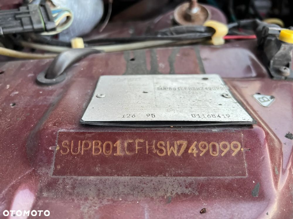 Polonez Caro - 21