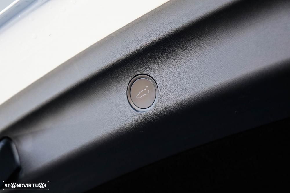 Tesla Model Y Performance Dual Motor AWD - 30