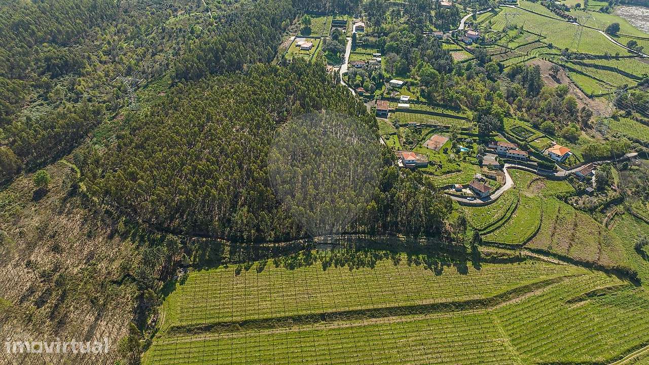 Terreno  para venda - Grande imagem: 5/34