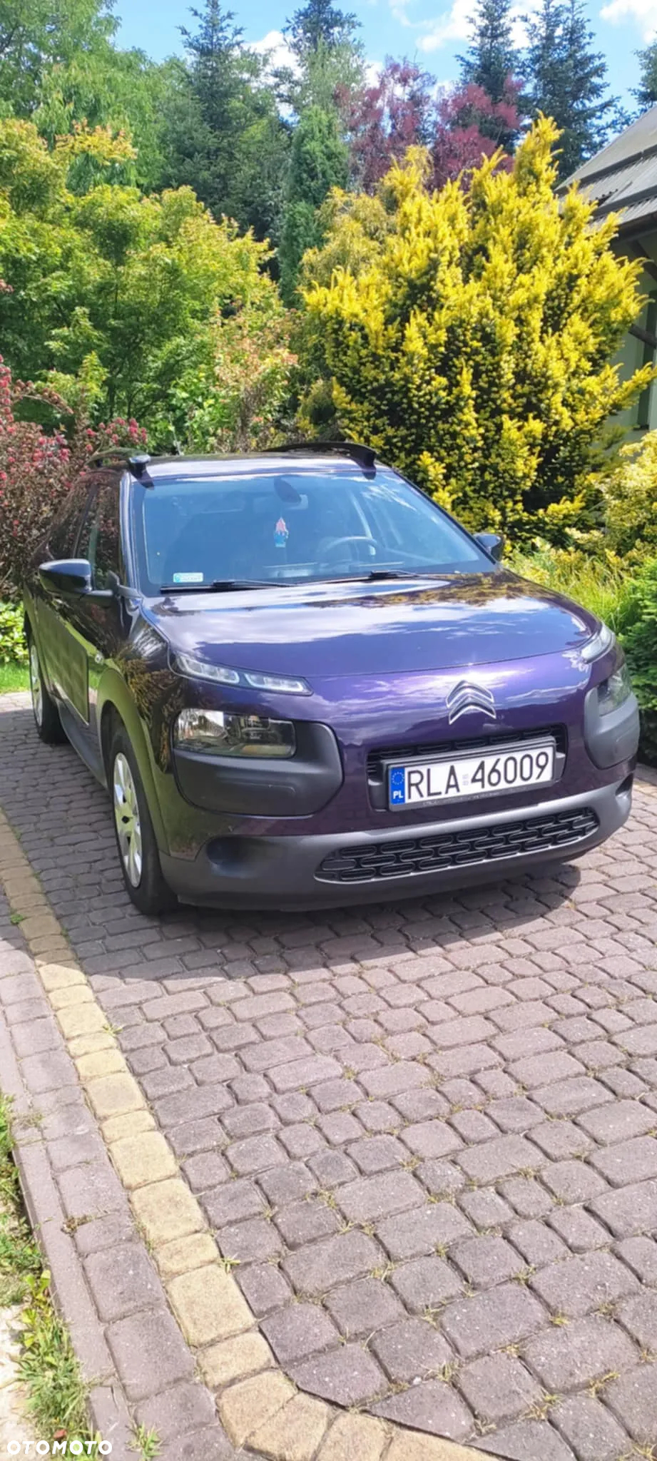 Citroën C4 Cactus - 2