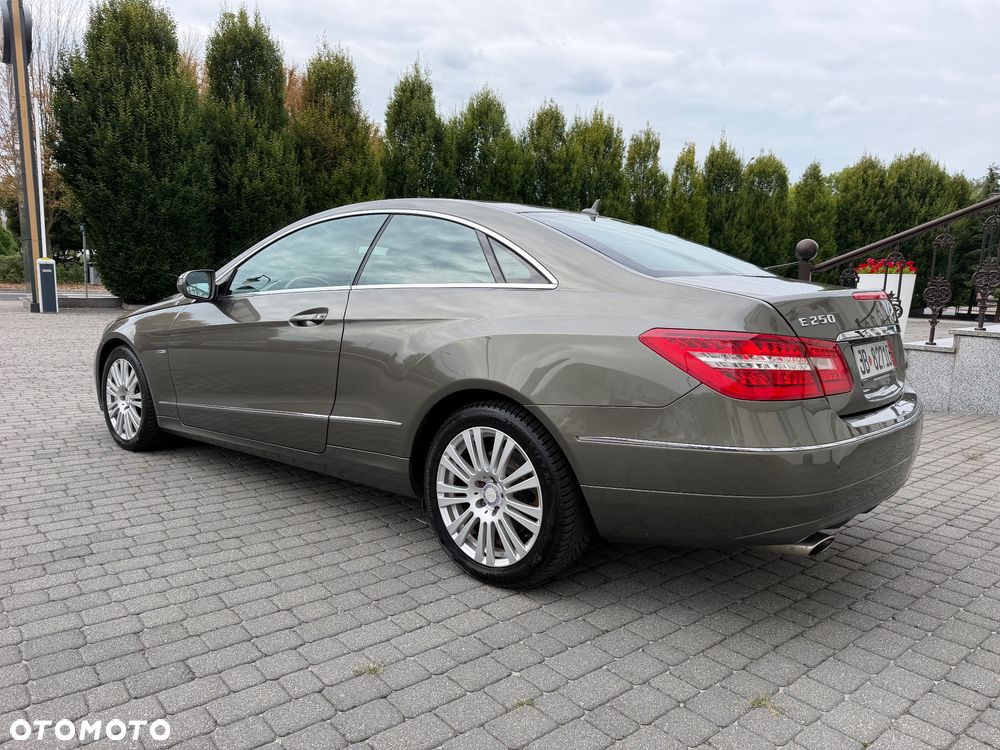 Mercedes-Benz Klasa E 250 CDI DPF BlueEFFICIENCY 7G-TRONIC Avantgarde - 13