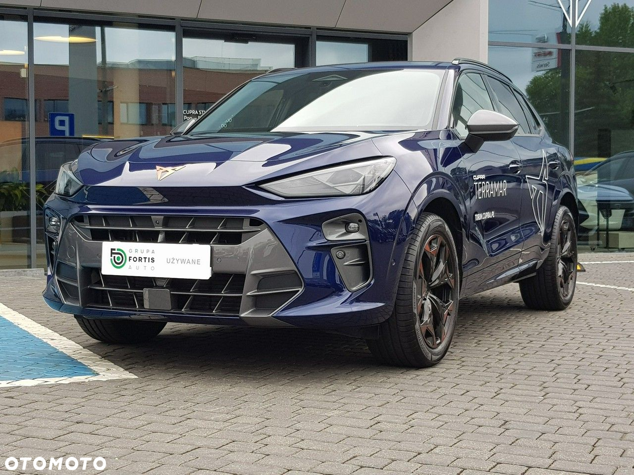 Cupra Terramar - 2