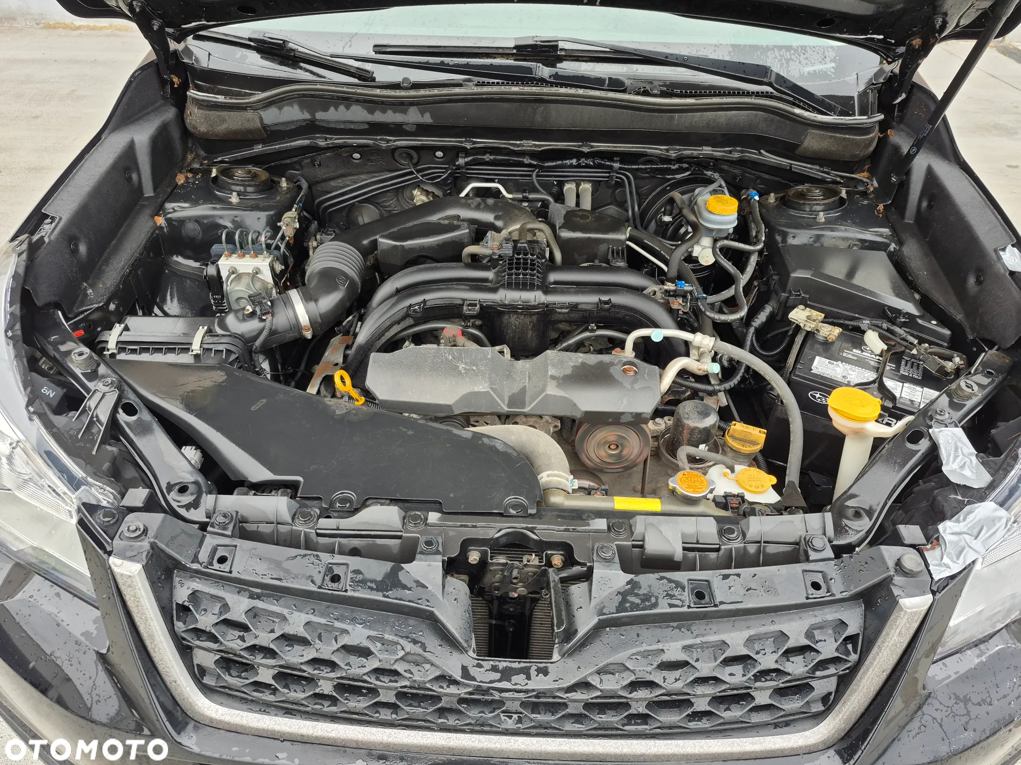 Subaru Forester - 11