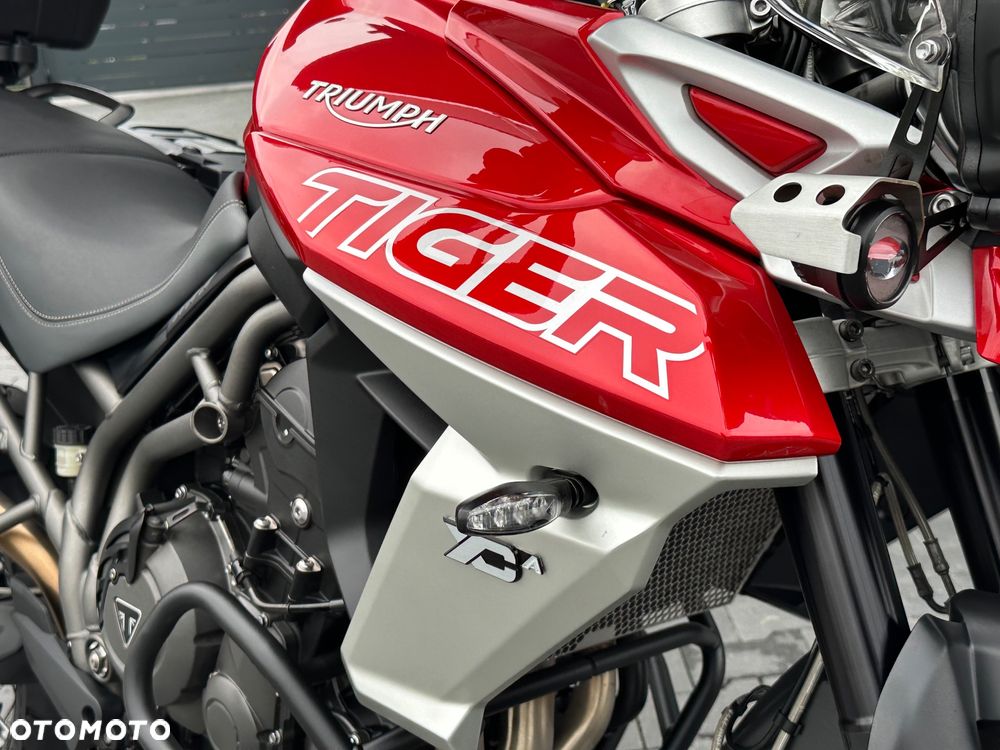 Triumph Tiger - 19