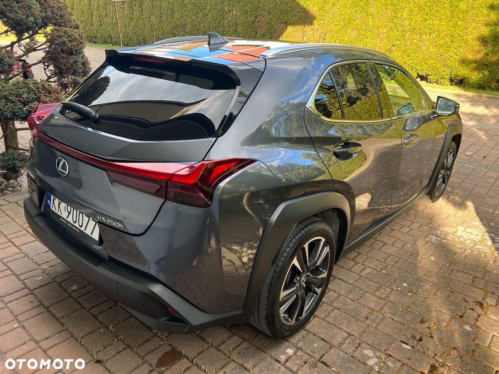 Lexus UX 250h GPF Business 2WD - 8
