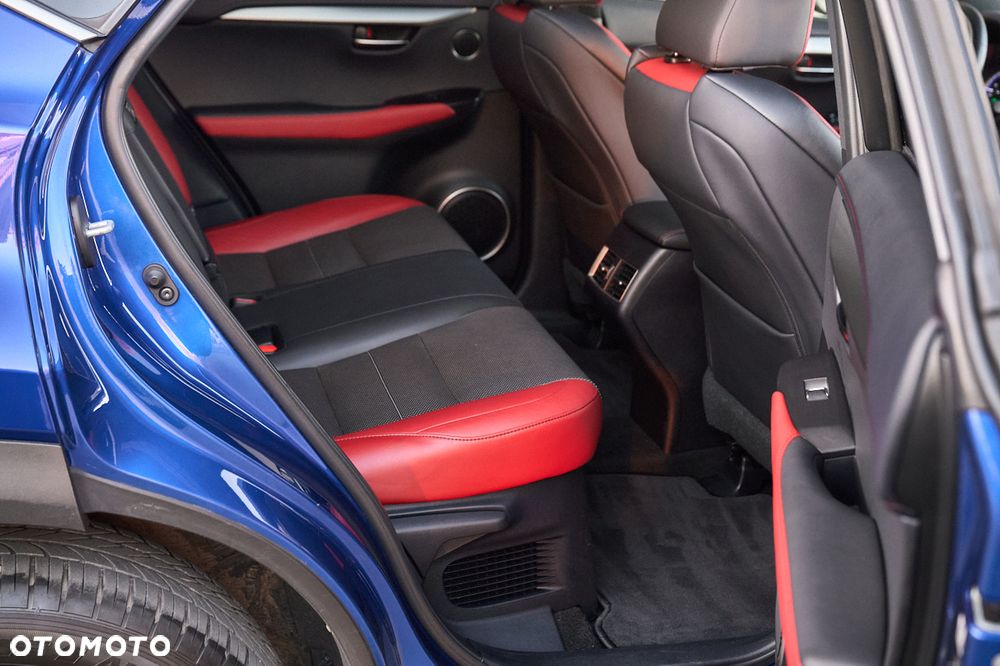 Lexus NX 300h F Sport AWD - 24
