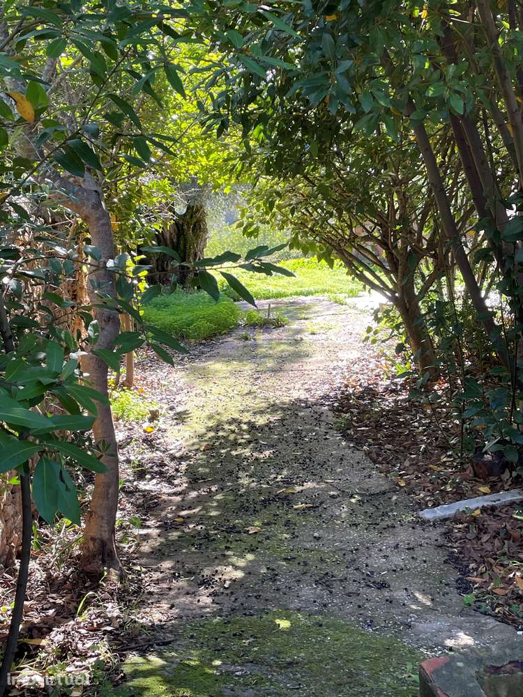 Moradia T4 em  Tôr / Loulé - Grande imagem: 3/28