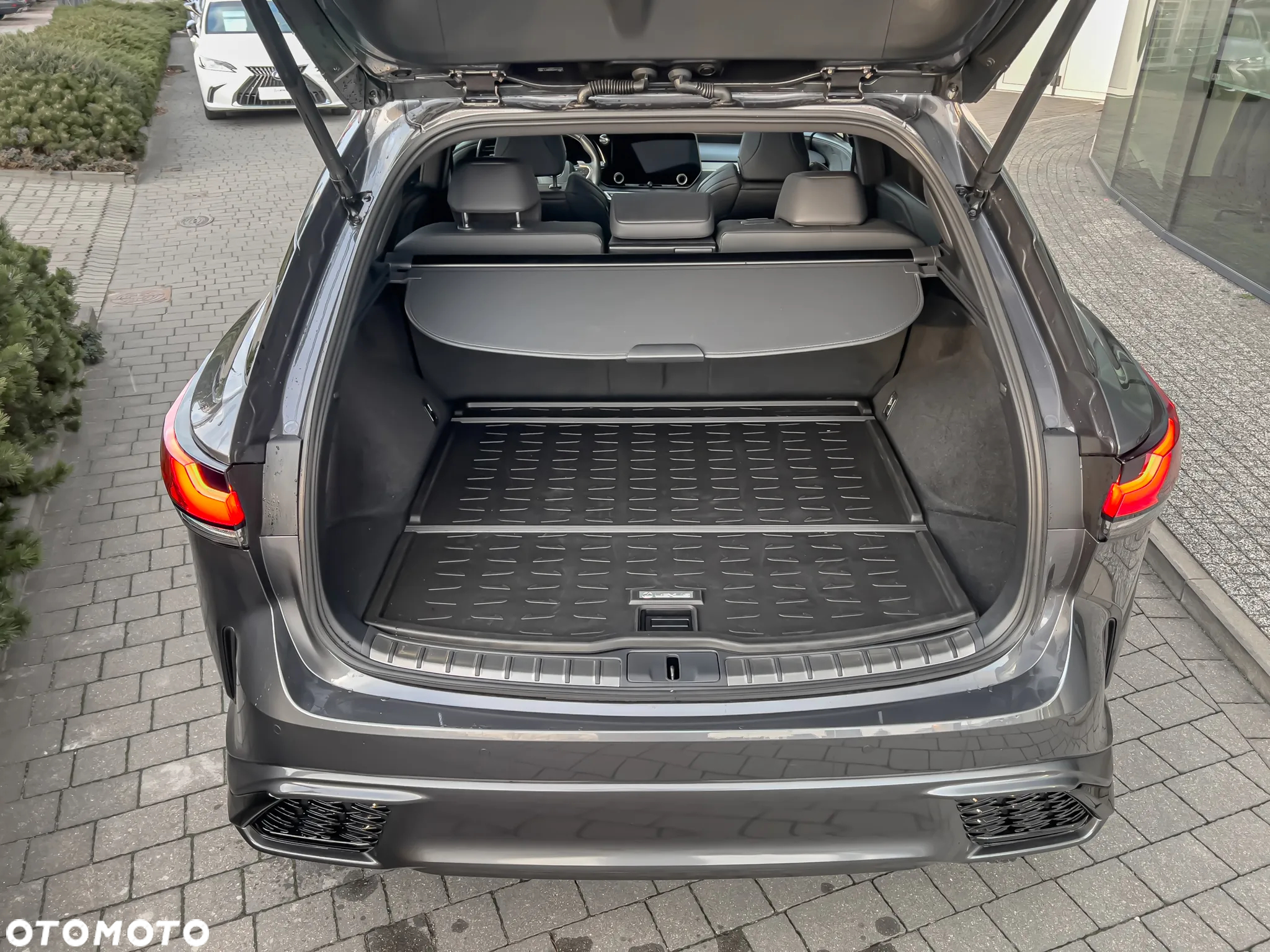 Lexus RX 500h F Sport - 14