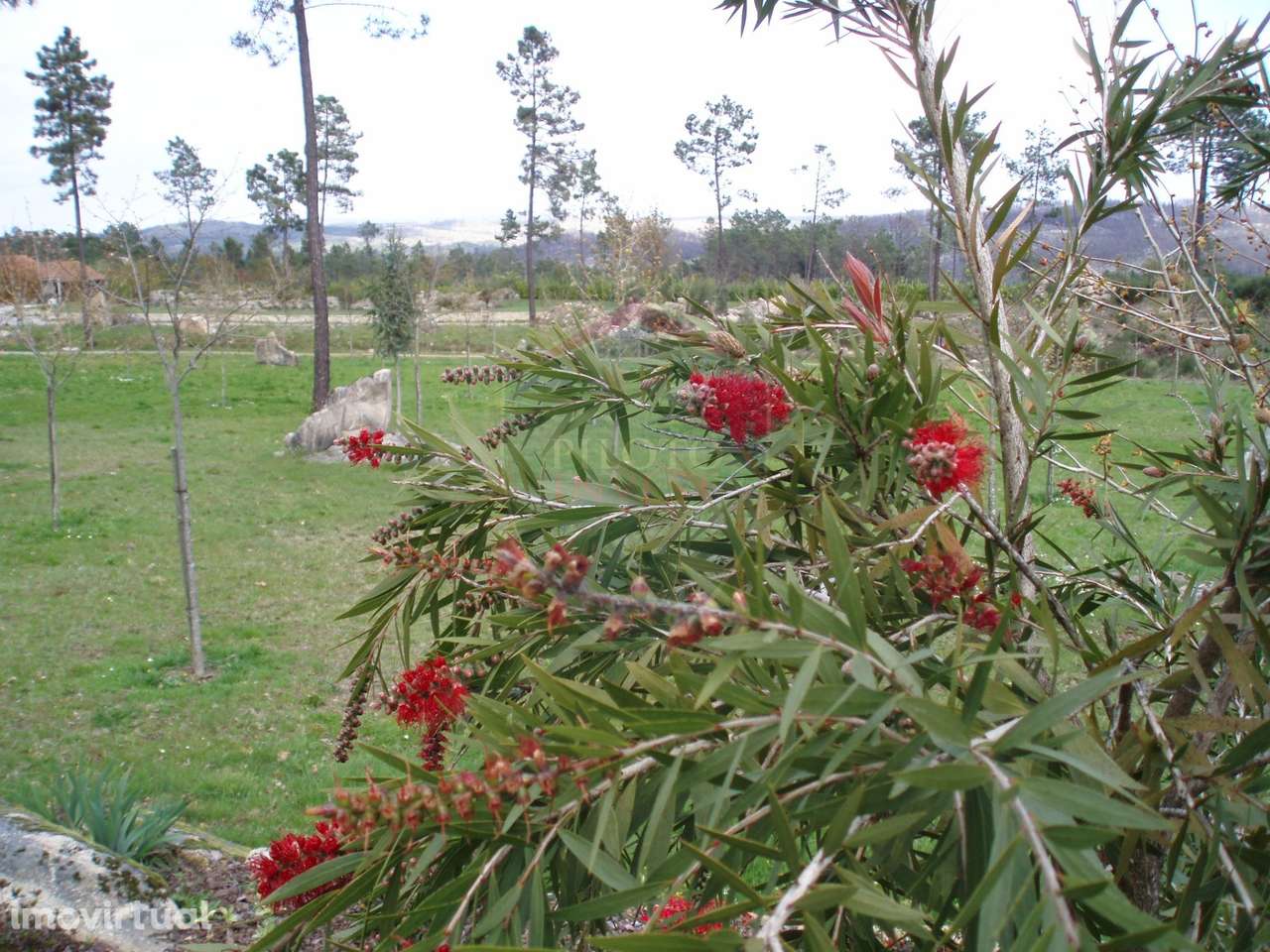 Quinta  Venda em Bodiosa,Viseu - Grande imagem: 5/11