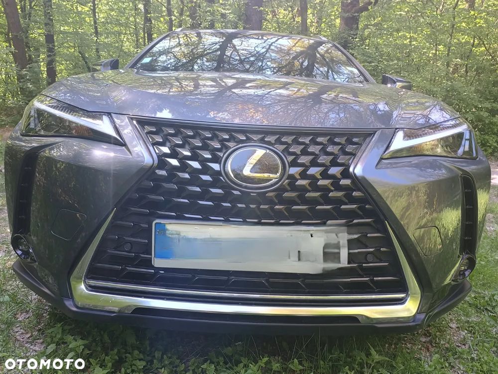 Lexus UX 250h Prestige 2WD - 1