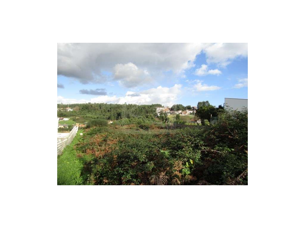 Terreno urbano em Nogueira da Regedoura - Grande imagem: 3/3
