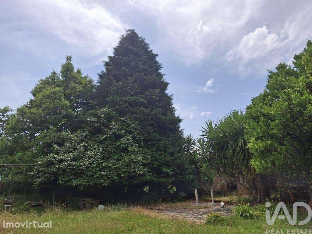 Casa / Villa T4 em Moreira de 275,00 m2 - Grande imagem: 5/18