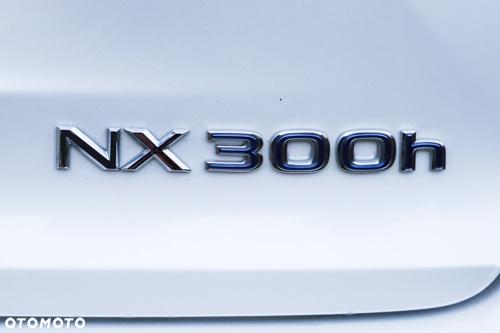 Lexus NX 300h - 13