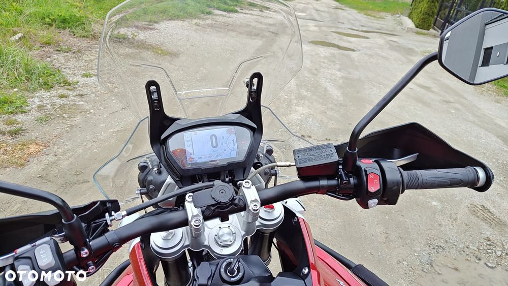 Triumph Tiger - 5