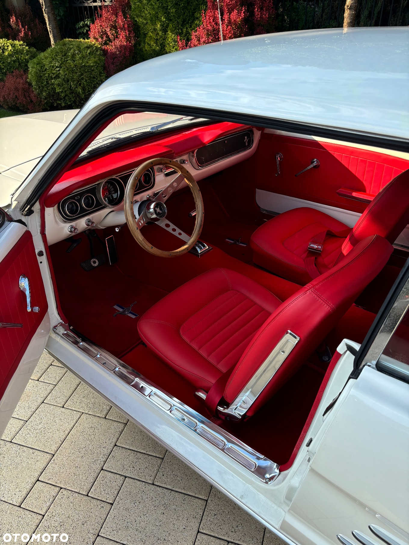 Ford Mustang - 15