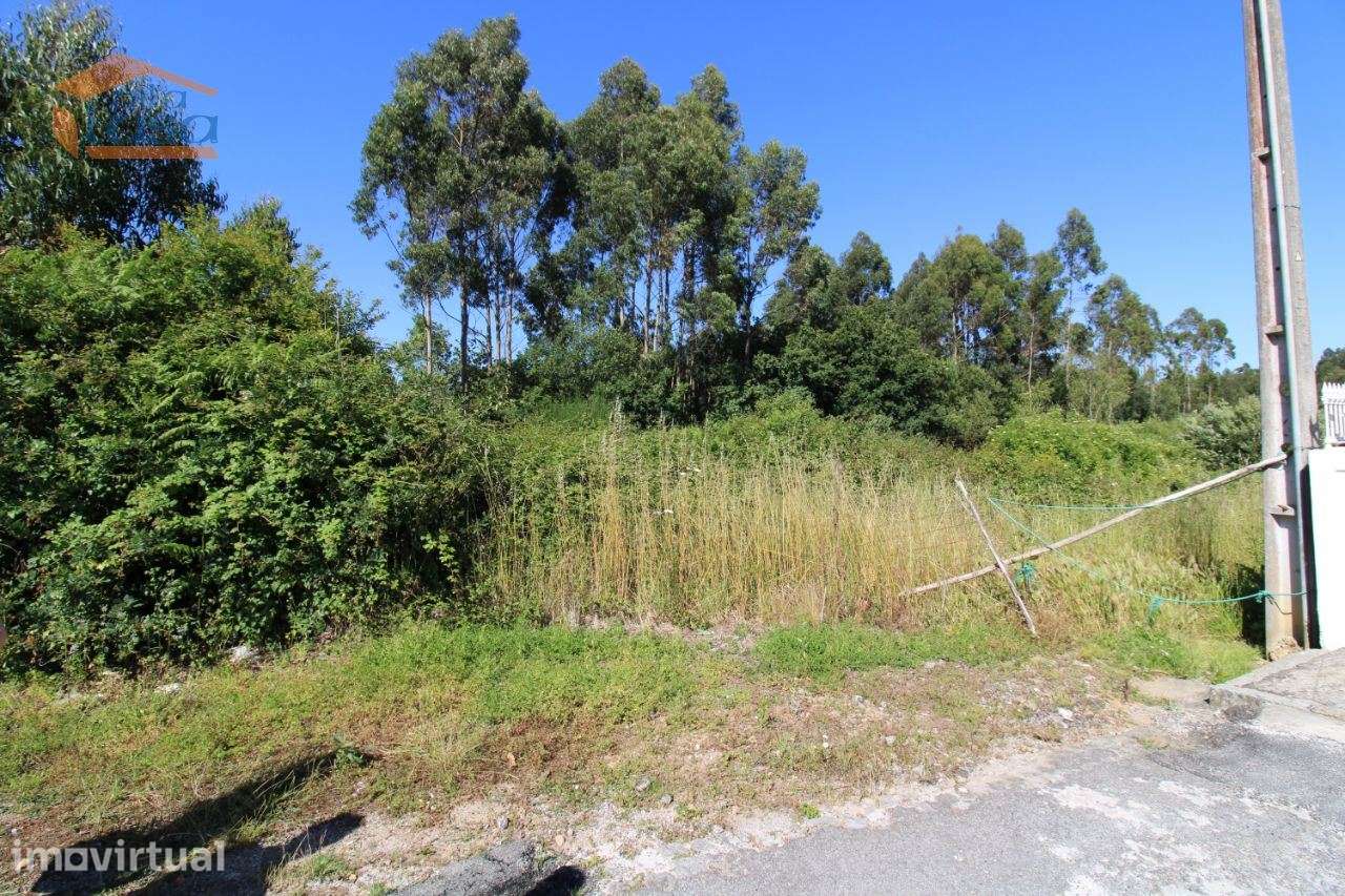Terreno Industrial com 28.000 m2 para a construção de armazém - Grande imagem: 5/13