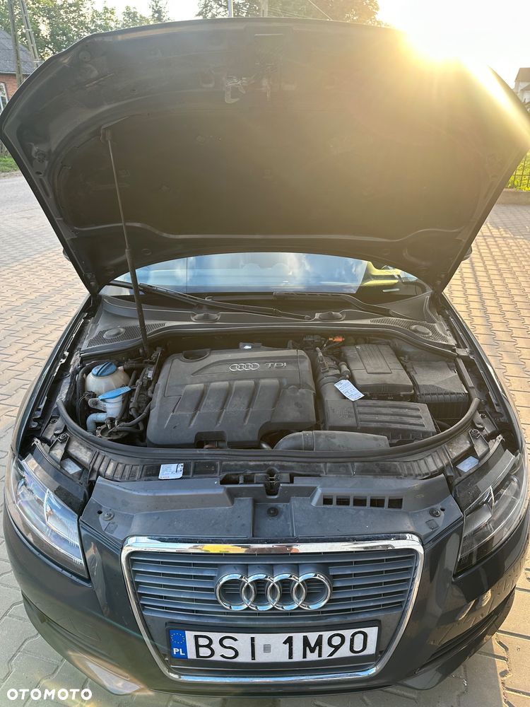 Audi A3 Sportback 2.0 TDI DPF Ambiente - 7