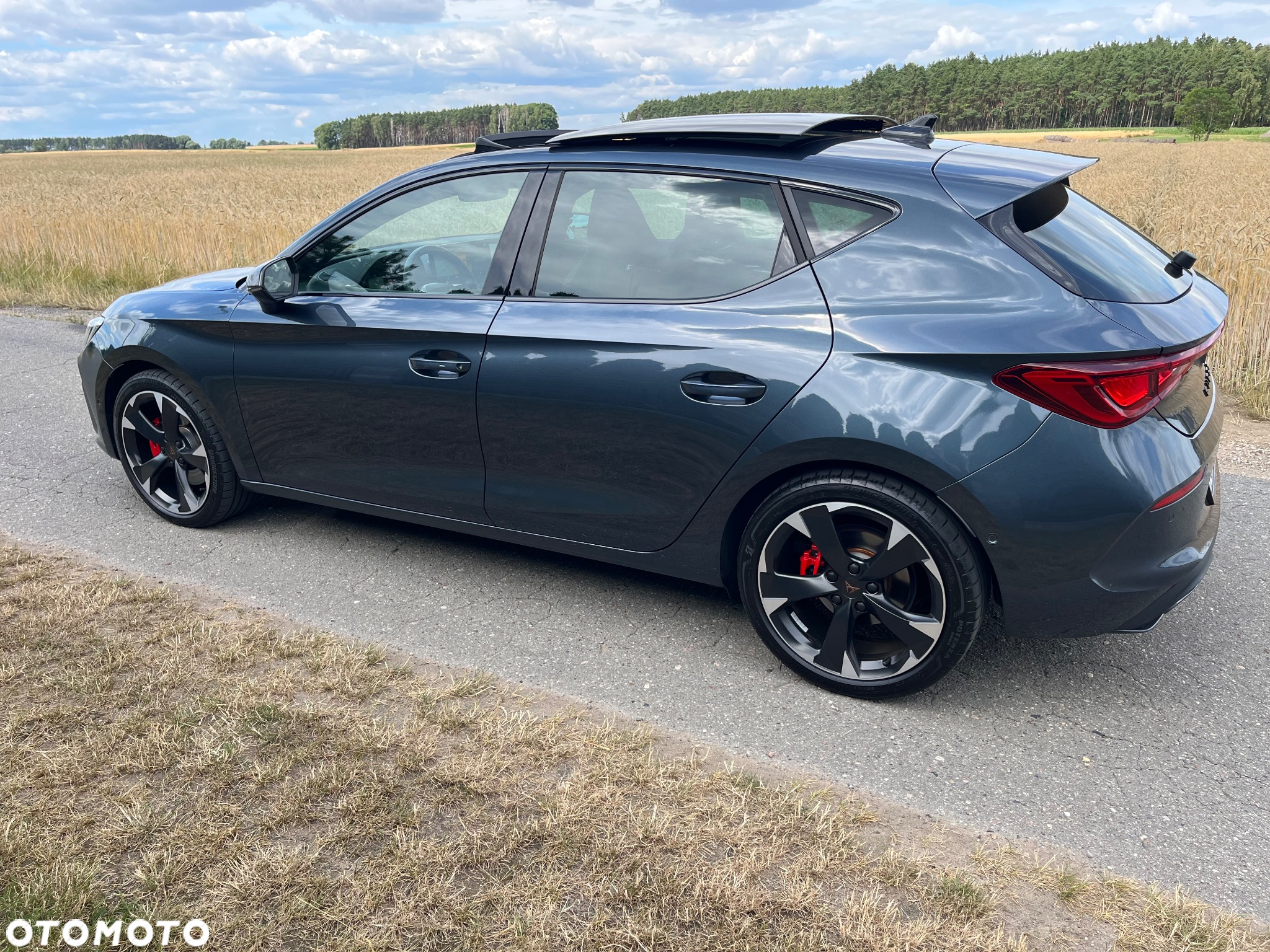 Cupra Leon 2.0 TSI DSG - 8