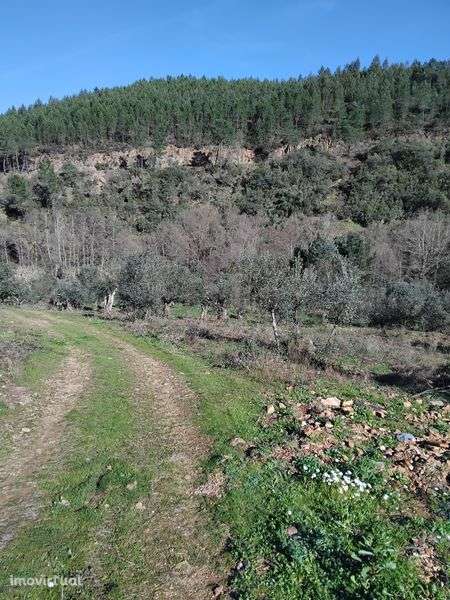 Terreno a beira da ribeira! - Grande imagem: 4/7