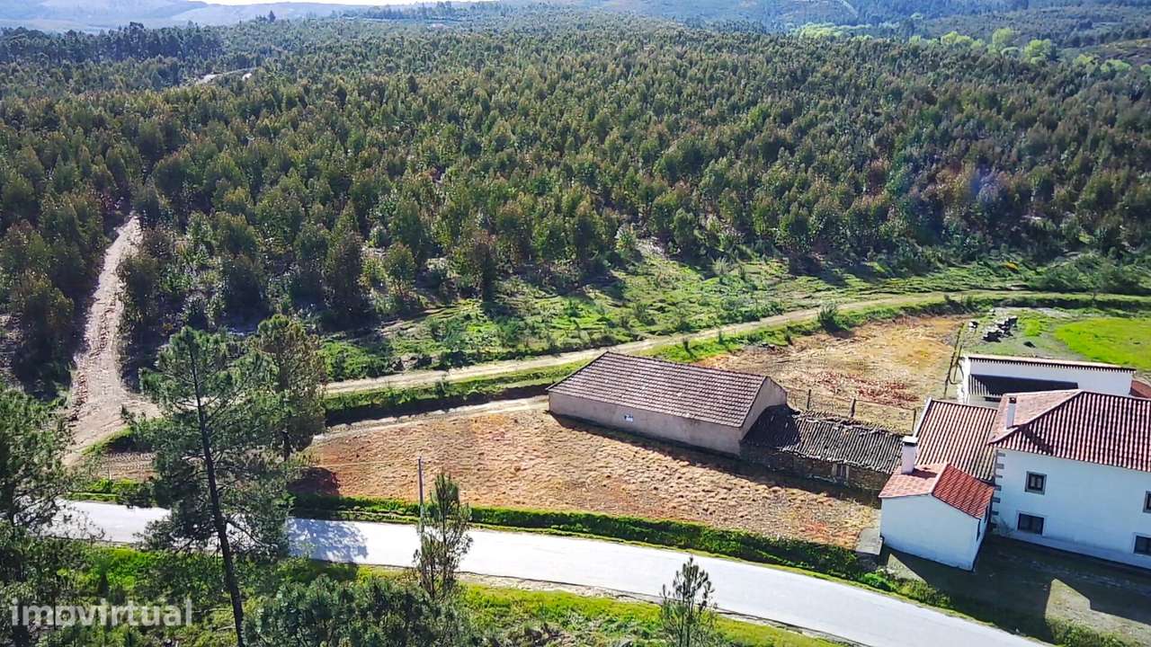 Terreno com 1.500m2 – Enxames, Fundão | Ruína e Palheiro - Grande imagem: 4/15