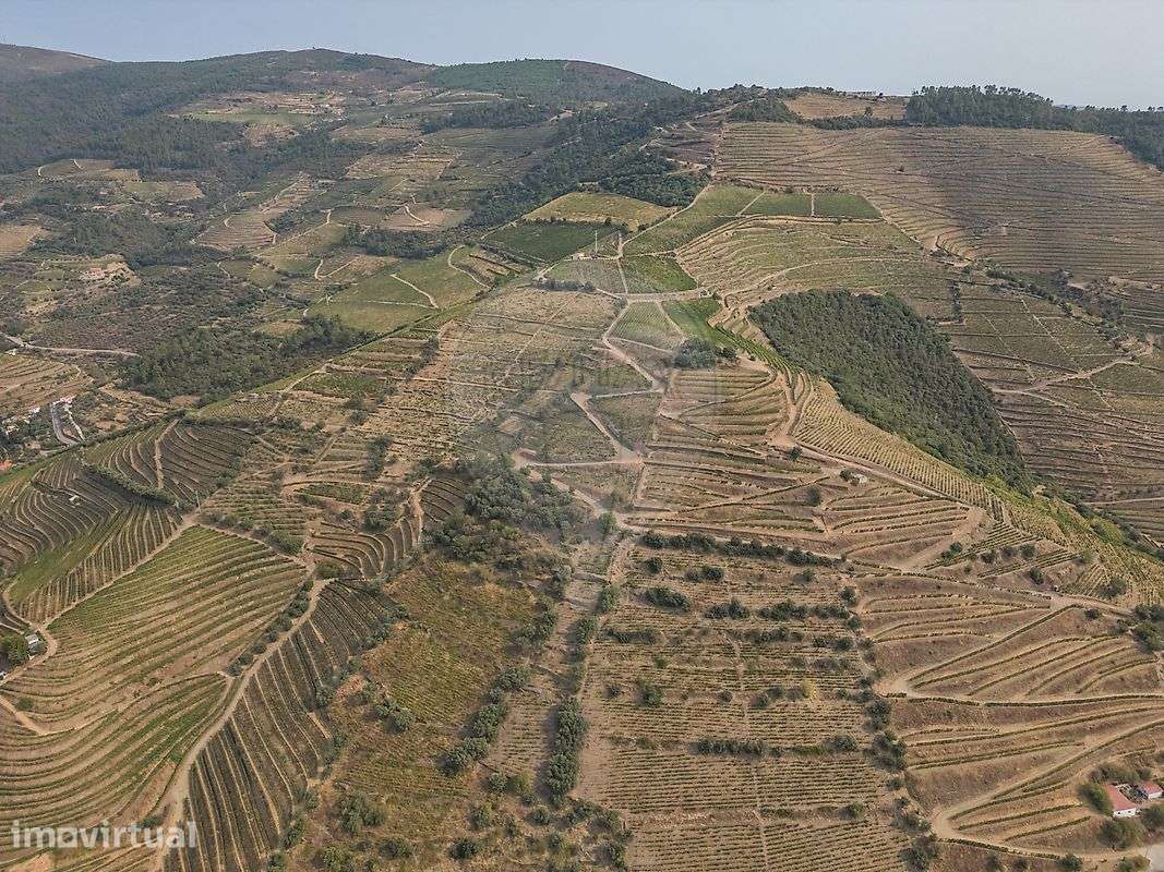 Herdade  para venda - Grande imagem: 4/7