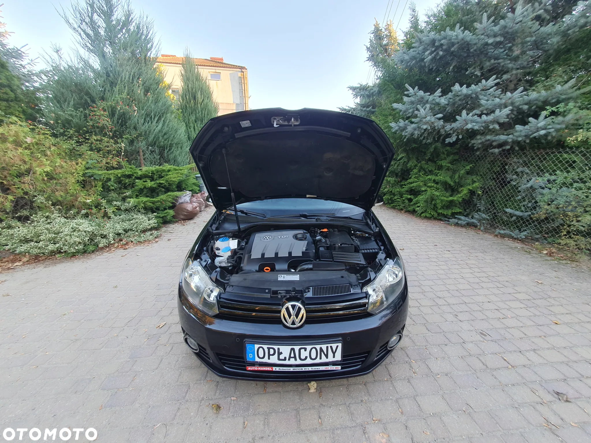 Volkswagen Golf 1.6 TDI DPF MATCH - 7