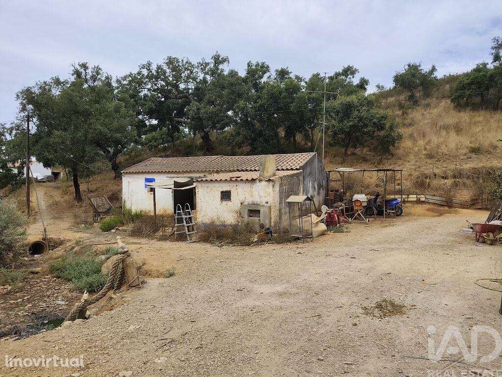 Casa de Campo T1 em Relíquias de 47,00 m2 - Grande imagem: 2/9