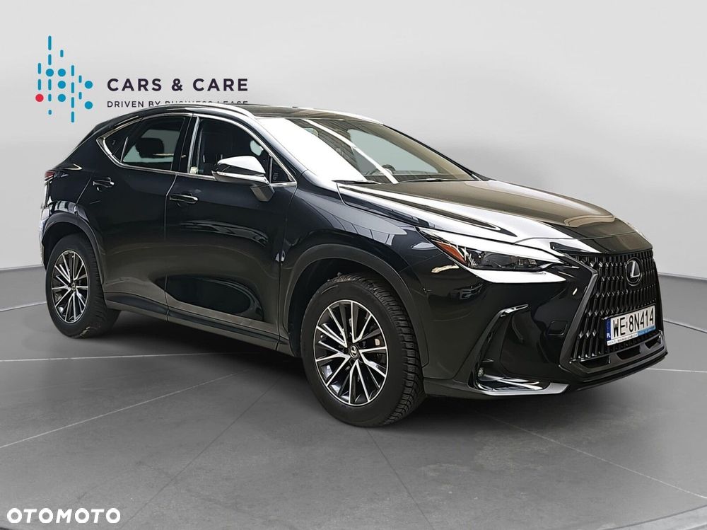 Lexus NX - 6