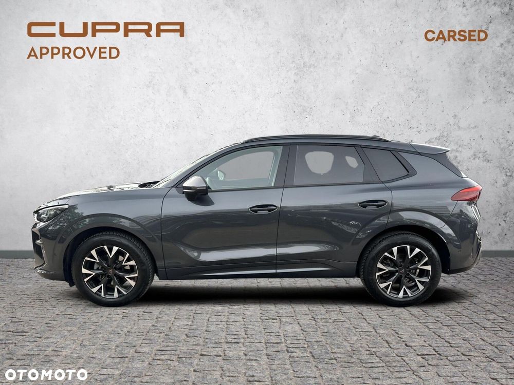 Cupra Terramar 1.5 eTSI mHEV DSG - 3