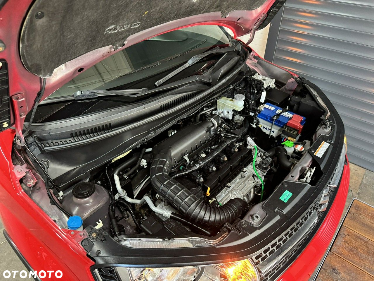 Suzuki Ignis - 19