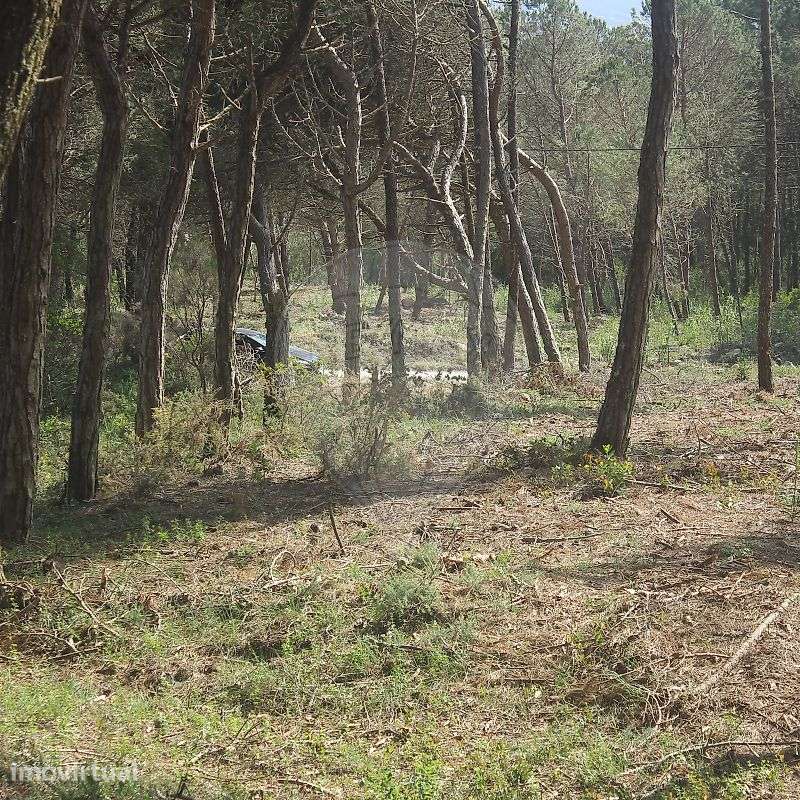 Terreno  para venda - Grande imagem: 5/13