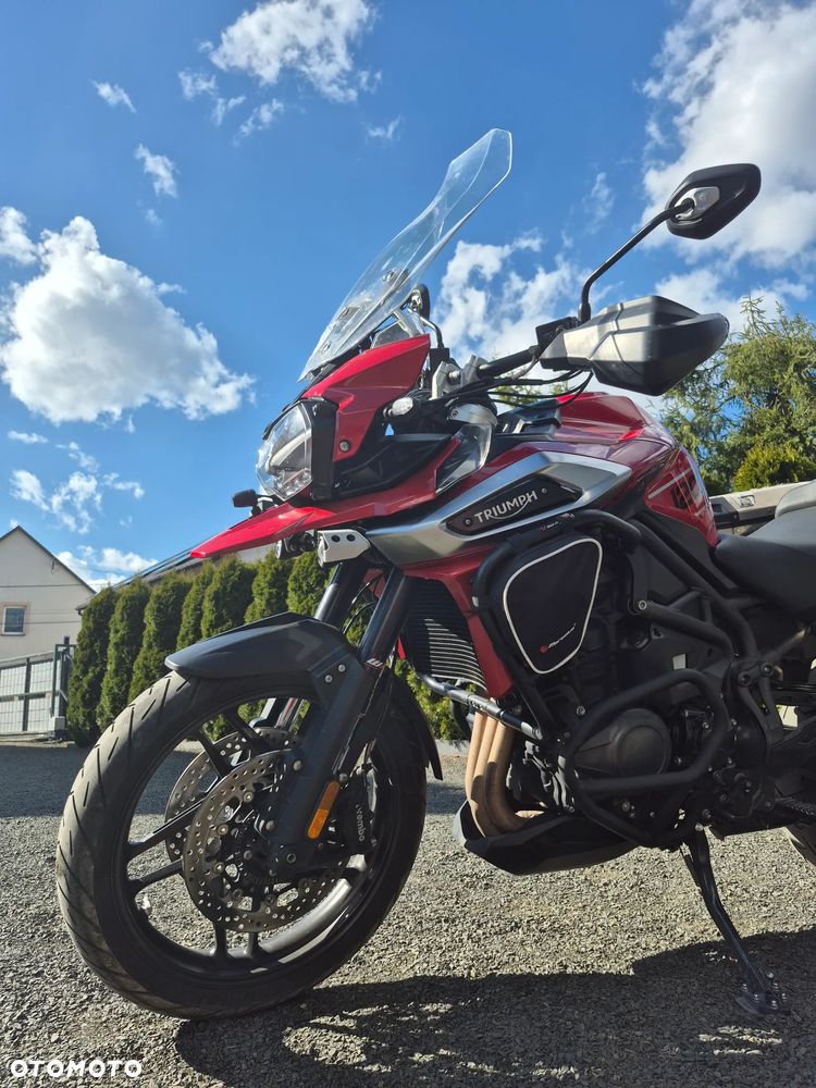Triumph Tiger - 9