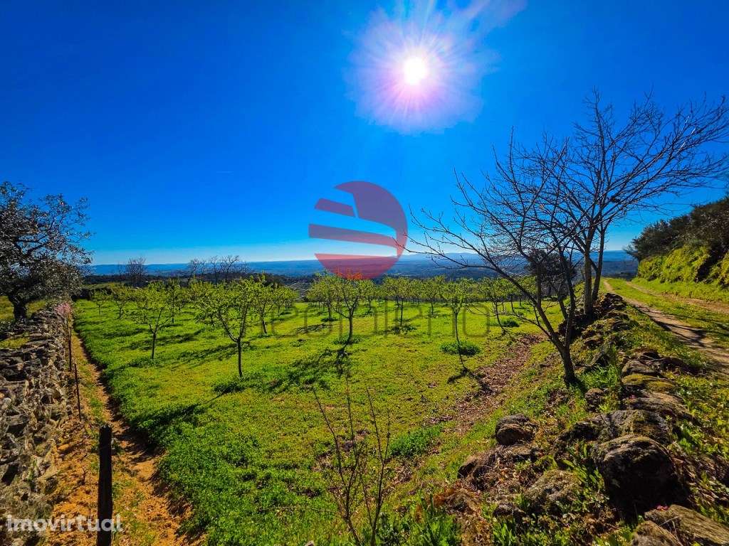 QUINTINHA - Grande imagem: 2/16