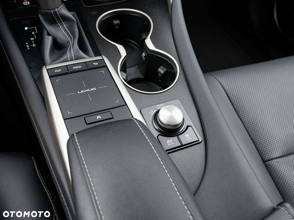 Lexus RX - 18