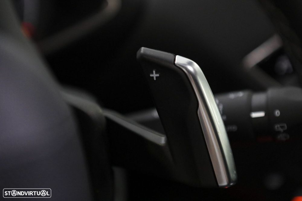 DS DS3 Crossback - 25