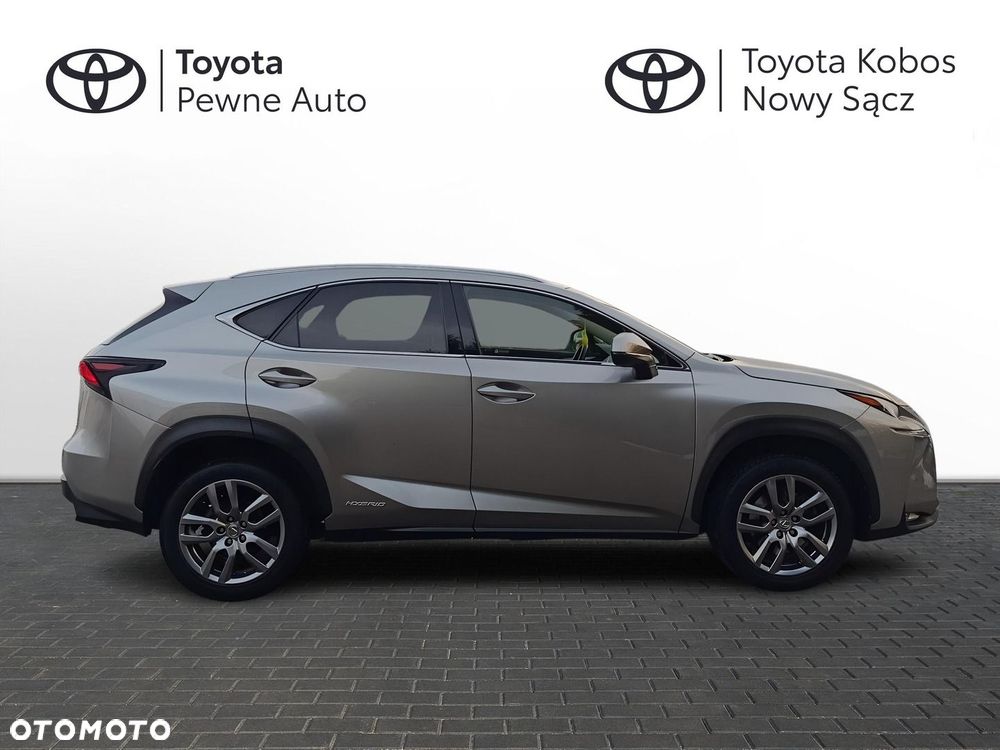 Lexus NX 300h Comfort AWD - 7