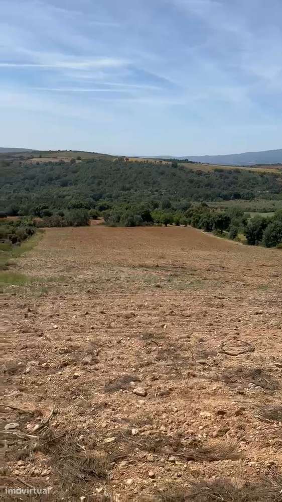 Terreno de cultivo com 600.00 m2 em M. de Cavaleiros. - Grande imagem: 5/9